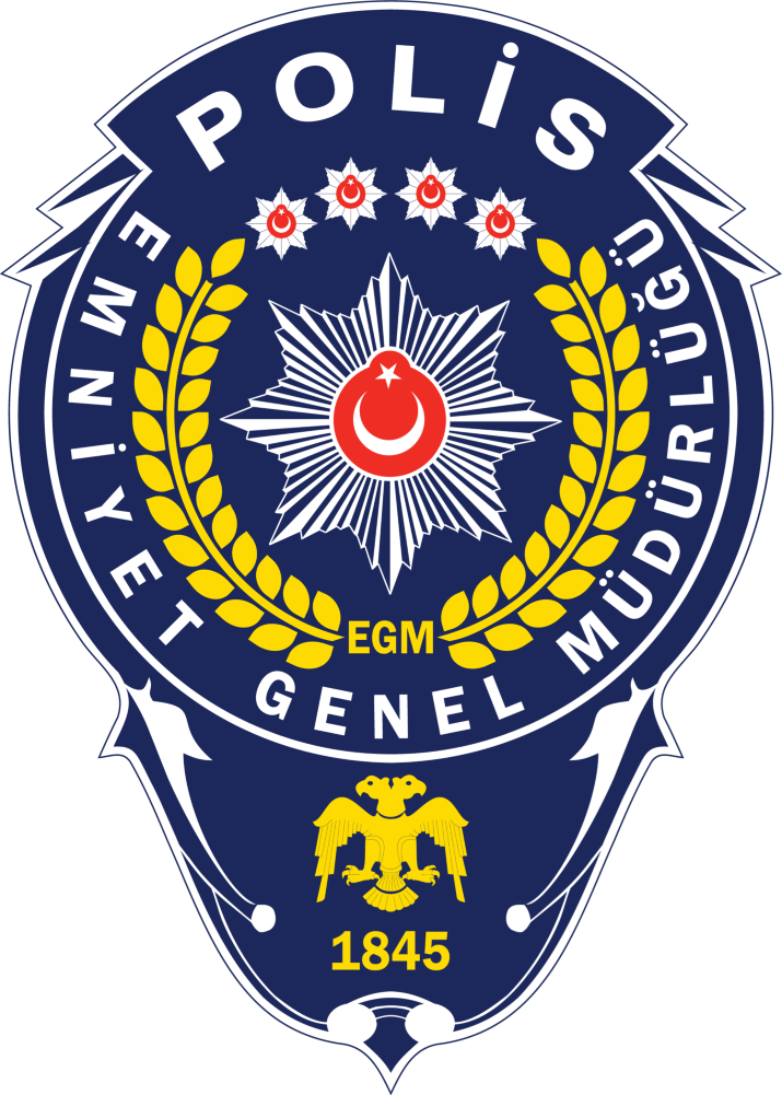 egm image